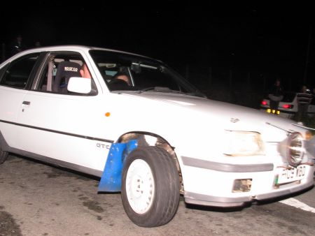 Greenleaves Rally 2004